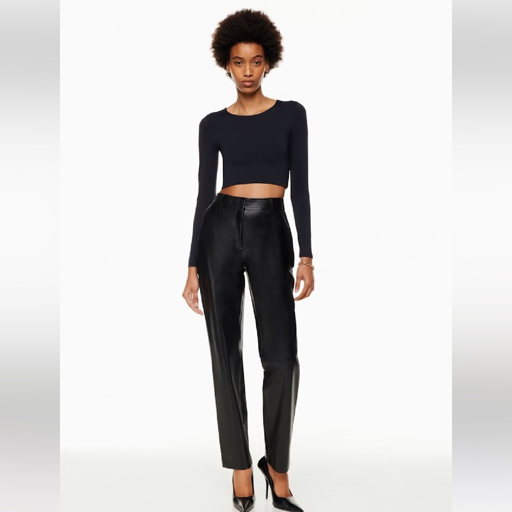 Aritzia Babaton Command Pants